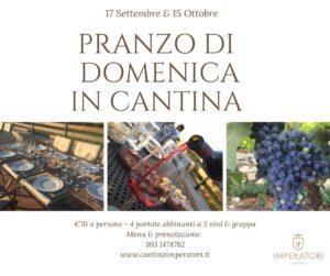 domenica in cantina
